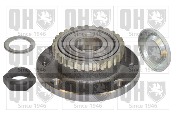 Wheel Bearing Kit (QWB1051)