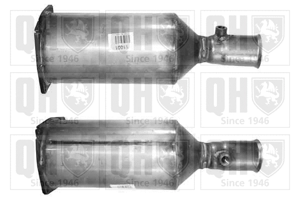 Soot/Particulate Filter, exhaust system (QDPF11001P)