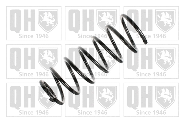 Suspension Spring (QCS6062)