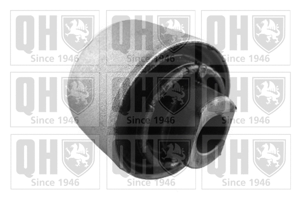 Mounting, control/trailing arm (EMS8232)