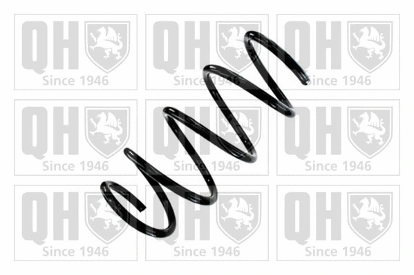 Suspension Spring (QCS9081)