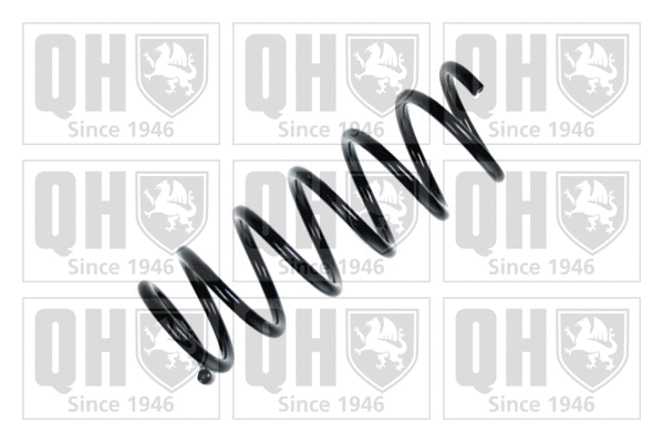 Suspension Spring (QCS5840)