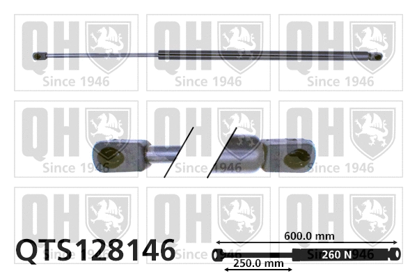 Gas Spring, boot/cargo area (QTS128146)