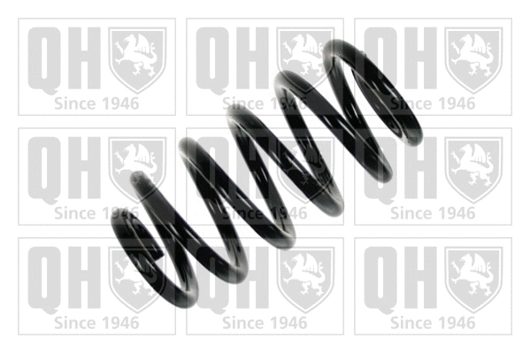 Suspension Spring (QCS6004)