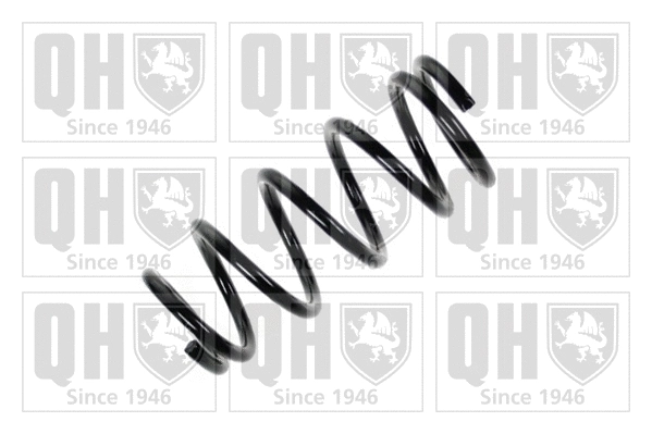 Suspension Spring (QCS6291)