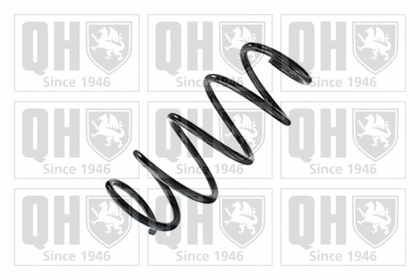 Suspension Spring (QCS9069)