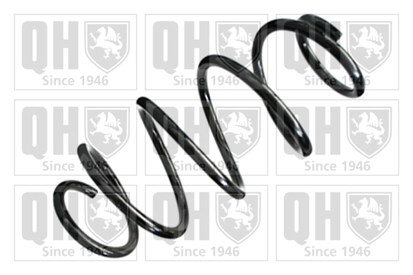 Suspension Spring (QCS8296)