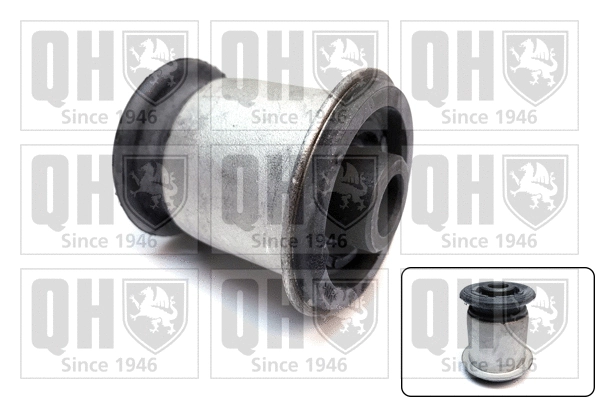 Mounting, control/trailing arm (EMS8669)