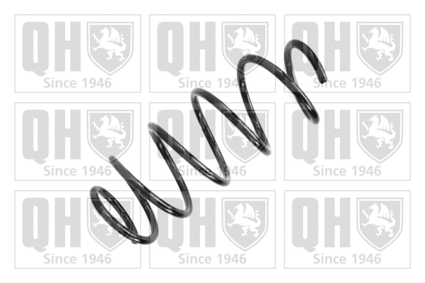 Suspension Spring (QCS7669)