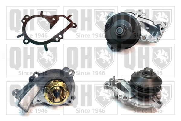 Water Pump, engine cooling (QCP3897)
