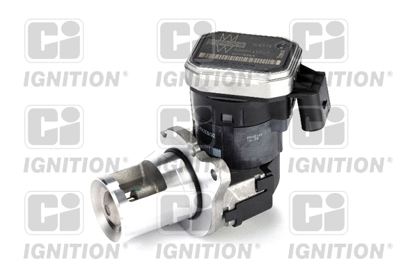 EGR Valve (XEGR62)