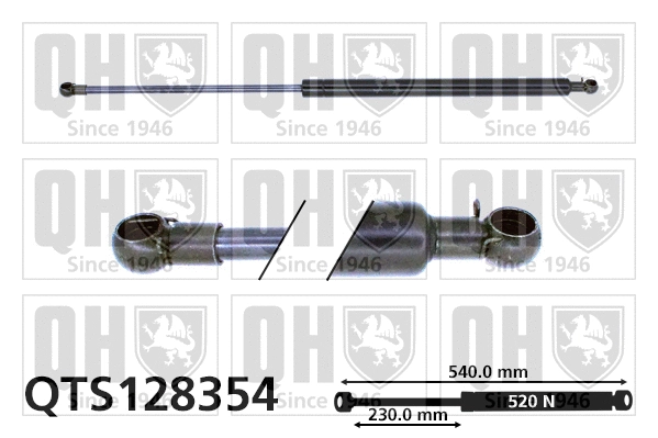 Gas Spring, boot/cargo area (QTS128354)