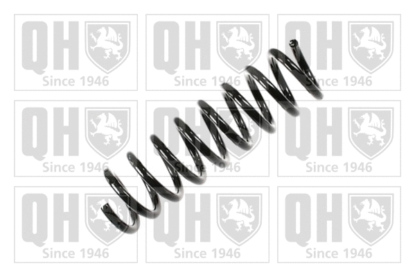 Suspension Spring (QCS5113)