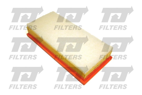 Air Filter (QFA0791)