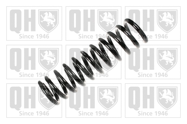 Suspension Spring (QCS7651)