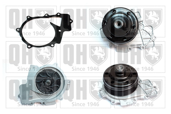 Water Pump, engine cooling (QCP3871)