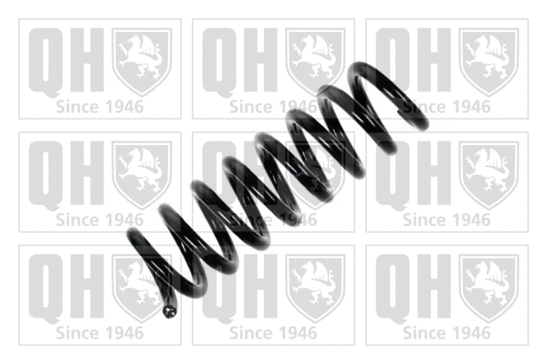 Suspension Spring (QCS5915)
