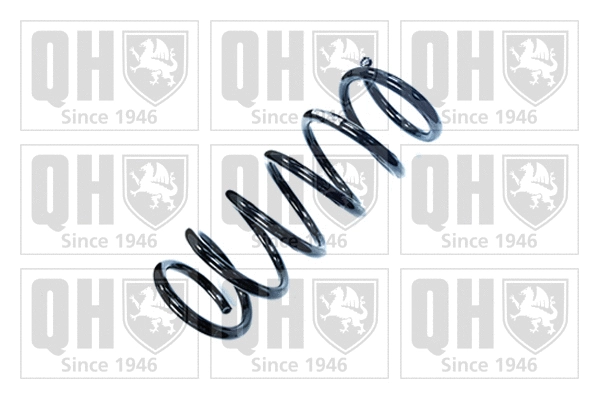 Suspension Spring (QCS8852)