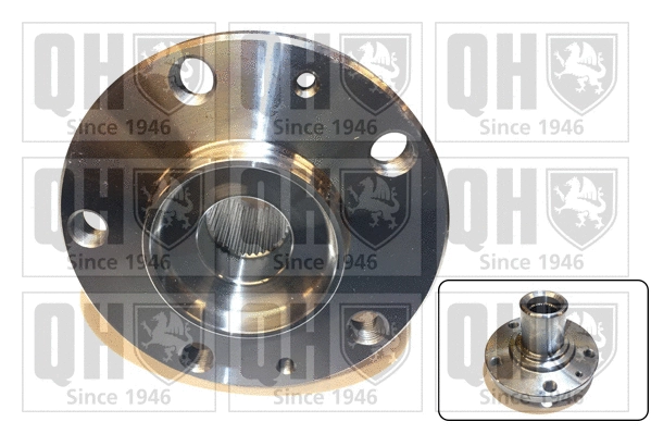 Wheel Hub (QWH166)