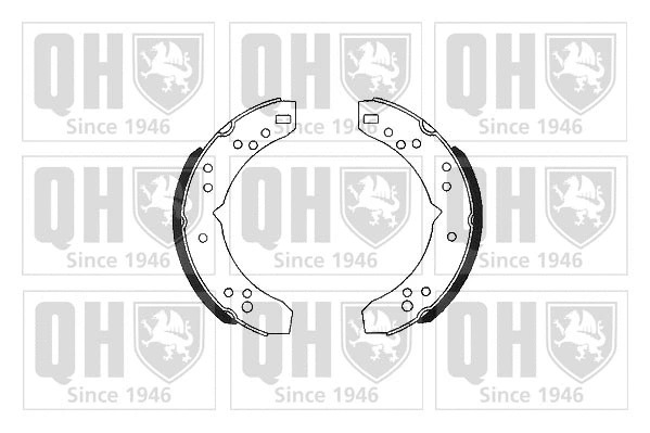 Brake Shoe Set (BS503)