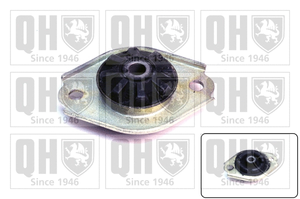 Suspension Strut Support Mount (EMR2221)