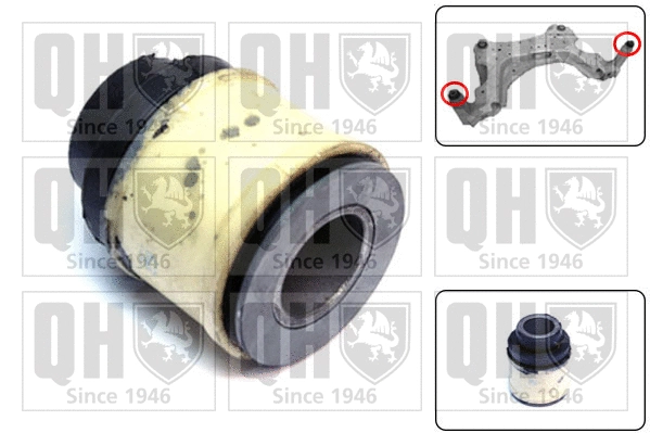 Bushing, axle beam (EMS8599)