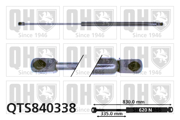 Gas Spring, boot/cargo area (QTS840338)