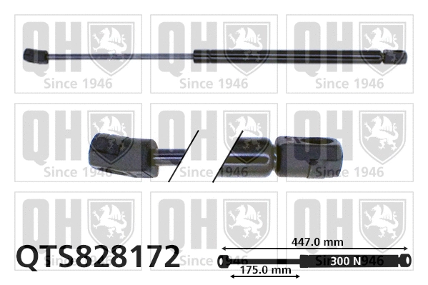 Gas Spring, bonnet (QTS828172)