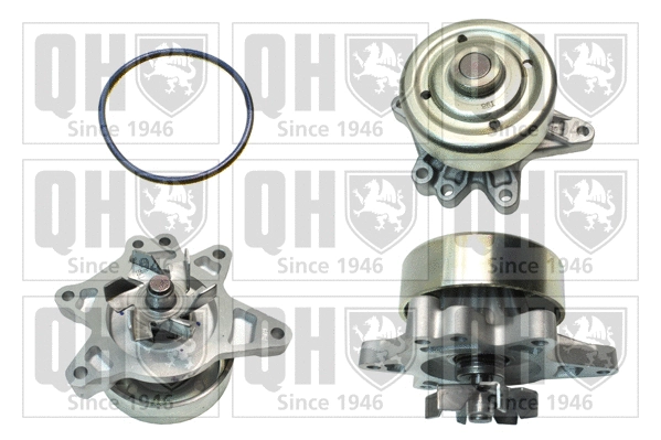 Water Pump, engine cooling (QCP3452)