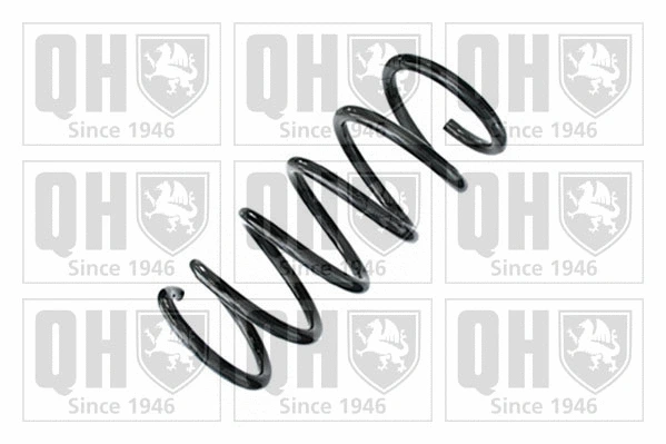 Suspension Spring (QCS8843)