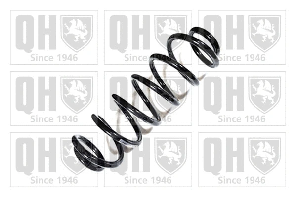Suspension Spring (QCS8823)