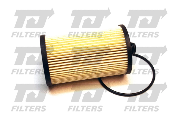 Fuel Filter (QFF0060)