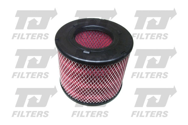 Air Filter (QFA0299)