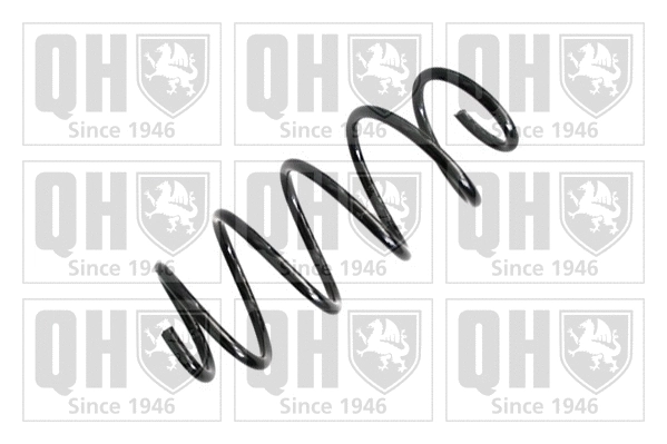Suspension Spring (QCS6517)