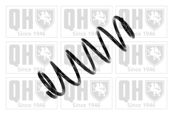 Suspension Spring (QCS6150)
