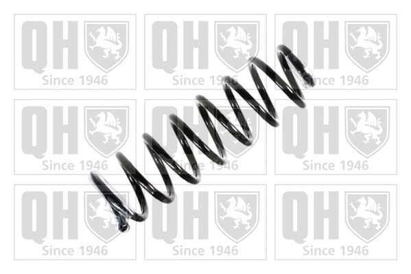 Suspension Spring (QCS5093)