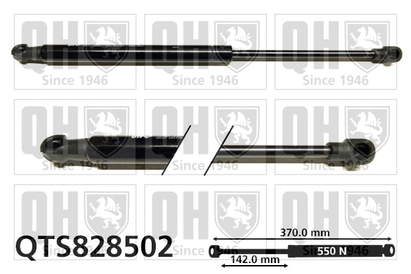 Gas Spring, bonnet (QTS828502)