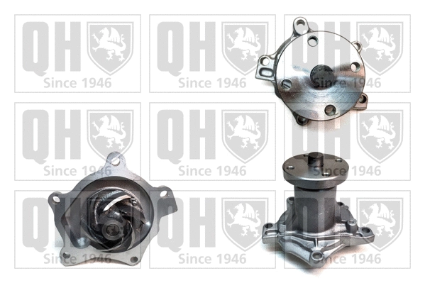 Water Pump, engine cooling (QCP2700)