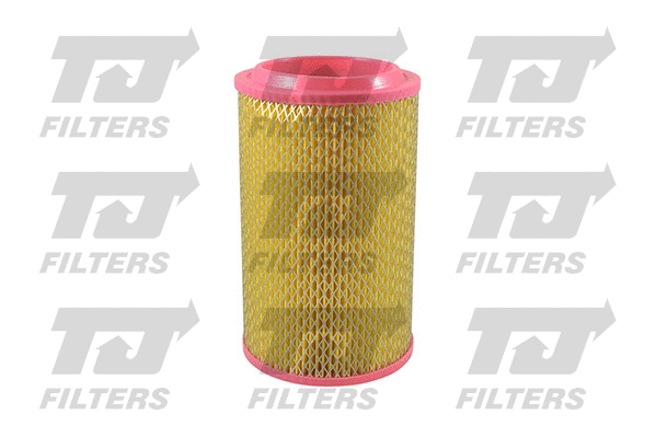 Air Filter (QFA0858)