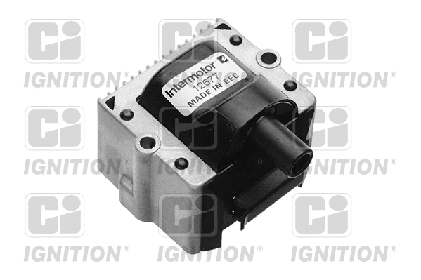 Ignition Coil (XIC8118)