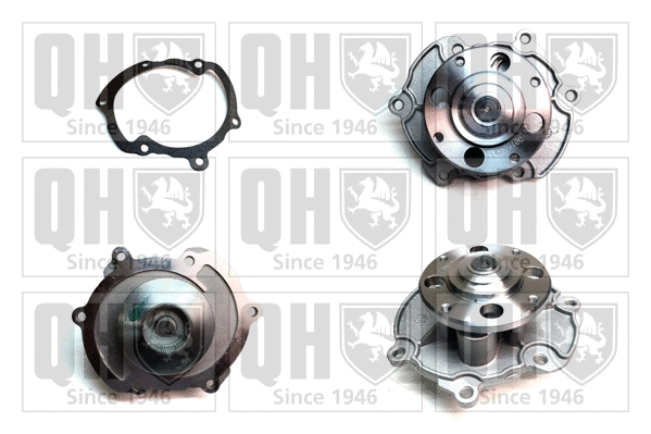Water Pump, engine cooling (QCP3664)