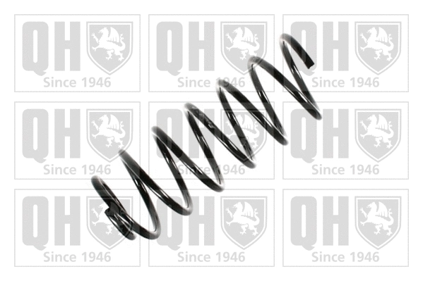 Suspension Spring (QCS5321)