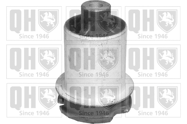 Mounting, control/trailing arm (EMS4047)
