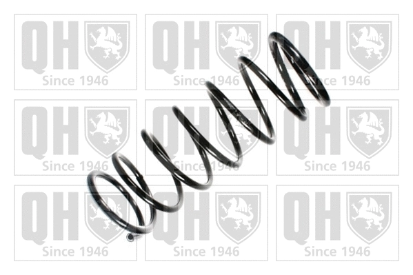 Suspension Spring (QCS5657)