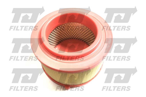 Air Filter (QFA0993)