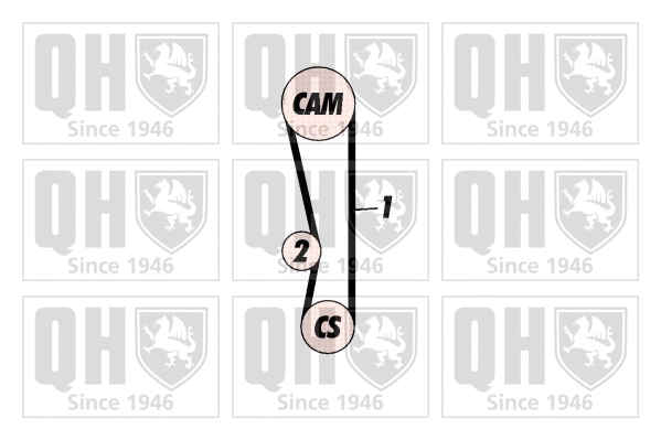 Timing Belt Kit (QBK542)
