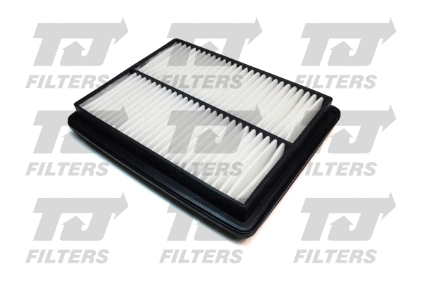 Air Filter (QFA0609)