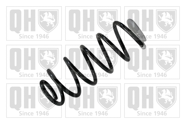 Suspension Spring (QCS6977)