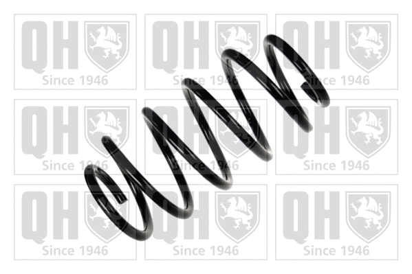 Suspension Spring (QCS6475)