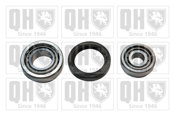 Wheel Bearing Kit (QWB317)